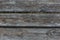 The texture of an old narrow raw wood board. Textured effect, weathered scratched gray wood with signs of aging, background