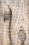 Texture of old plank of rustic house with rusty nails driven in, dark cracked knot and natural weathered wood pattern close up