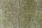 Texture of old raw moldy stone cement wall for 3D texturing