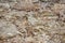 Texture of old stone wall with collapsed plaster. Background of shabby building surface. Destroyed stone wall with fallen plaster