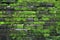 Texture of old stone wall covered green moss in Fort Rotterdam, Makassar - Indonesia