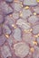 Texture of the old walkway made of boulder, surface background of large stones with autumn yellow leaves