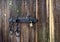 Texture of an old wooden gate with a large lock.
