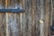 Texture of an old wooden gate with a large lock. An old wooden gates.