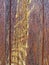 Texture-old wooden painted protective paint brown figured Board with flows of wood amber resin. Detail of wooden planks.