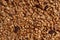 Texture of organic homemade baked granola with oats, raisins and nuts