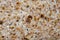 Texture of Organic live Sprouted Whole grain bread