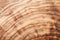 Texture or pattern of olive wood board. Natural background.