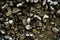 Texture photo of rough concrete plaster with sprinkled gravel