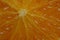 texture of a piece of ripe raw orange