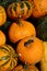 Texture of pile of various mature orange and green to orange striped pumpkins Cucurbita Pepo