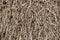 Texture of piled dried straw