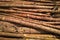 Texture of pine three logs. natural wooden  background