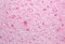 Texture of pink porous sponge