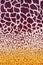 Texture of print fabric striped giraffe and leopard