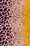 Texture of print fabric striped giraffe and leopard