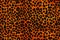 texture of print fabric striped leopard for halloween and background with Generative AI.