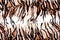 Texture of print fabric striped tiger leather for background