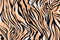 Texture of print fabric striped tiger and zebra