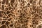 Texture of print fabric stripes giraffe