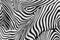 Texture of print fabric stripes zebra