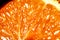 Texture of the pulp of orange