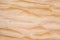 Texture of Quilted Maple