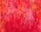 Texture of a red apple