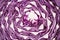 Texture of red cabbage, Scotch kale or purple cabbage