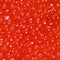 Texture of red caviar close-up
