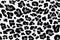Texture repeating seamless pattern snow leopard jaguar white leopard