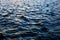 Texture rippled ocean water