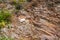 Texture of the rock. Large rocks exfoliate from the rock.