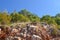 Texture of the rock. Large rocks exfoliate from the rock. The roots of the tree hang down