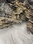 Texture of rock and sand on a beach with traces of water, shore background, detail of a rocky beach