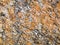 Texture of rocks. Gray mountain rocks background. Gray rock texture. Rough structure. Rock background. Mineral texture