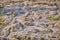 Texture of the rocky ground. Background of gray stones on a warm summer day