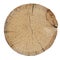 Texture of a round cut of wood on a white isolated background. Slivers. Cut down trees. Wooden logs and wood chips