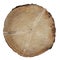 Texture of a round cut of wood on a white isolated background. Slivers. Cut down trees. Wooden logs and wood chips