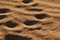 Texture Sand Dune in Desert