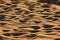 Texture Sand Dune in Desert