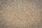 The texture of the Sand wash, exposed aggregate finish flooring backgrounds, non-slip