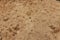 The texture of the sandy layer of the earth. Sand background