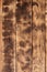The texture of the scorched wooden wall. Wall of smooth orange long wooden boards with a specific black texture of fryin