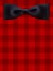 Texture shirt pattern with realistic black bow tie
