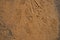 Texture of shoes foot prints on golden sand background