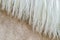 texture of the skin of a beige horse with a mane close up