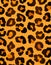 Texture skin leopard animals fur