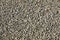 Texture: small sanded gravel. Small white chalk stones. Artistic reliefs from natural objects. Material for construction work and