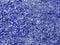 Texture of small sawdust in blue color. Artistic object. Designer material.